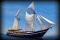 MSY Seahorse Komodo and Raja Ampat liveaboard